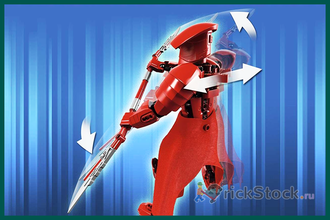 # 75529 Сборная Фигура «Элитный Преторианский Страж» / “Elite Praetorian Guard” Buildable Action Figure (2017)
