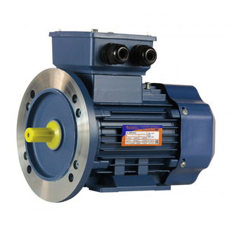 Электродвигатель 5АИ 63А4 (0,25 кВт)