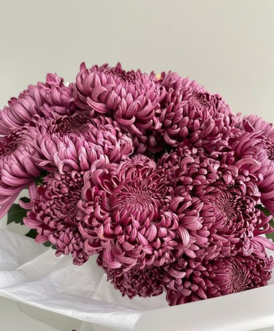 Букет моно цветов № 563