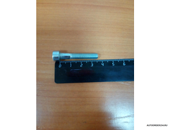 Болт М6*1*35 под внутренний шестигранник (цена за  20 шт.)