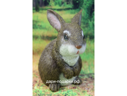 Зайка пушистик 25*23см   0,7кг  полистоун Россия 530-012446