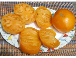 Томат Доктор Виче желтый (Dr. Wyche's Yellow)