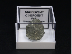 Марказит (Сферолит), в пластиковом боксе, Крым, с. Доброе №24182