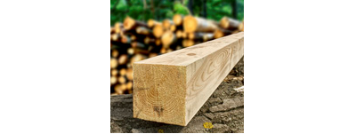 Брусопрофилирующий станок MP100 Wood-Mizer, от