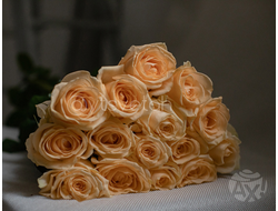 Роза Аваланш Пич