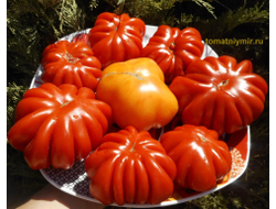 Томат Американский ребристый