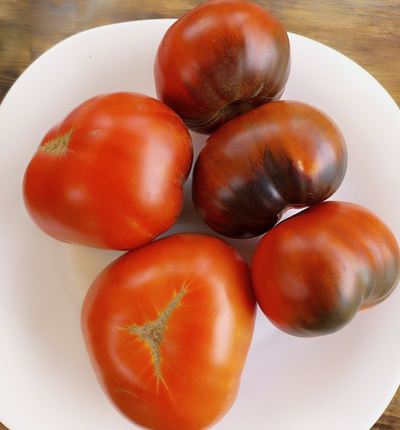 Томат Оранжево-красный Блюз (Orange red Blues)