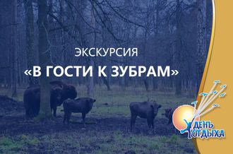 Экскурсия &quot;В гости к зубрам&quot;