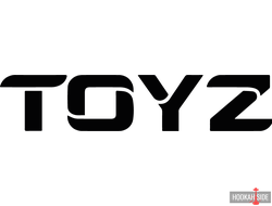 Toyz Hybrid 30мл (Легкая - Крепкая) - 450р