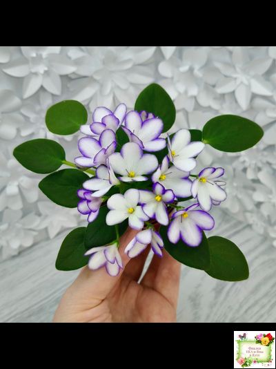 2А-Проба Пера (Е. Кольцова) 2024 г. (детка)