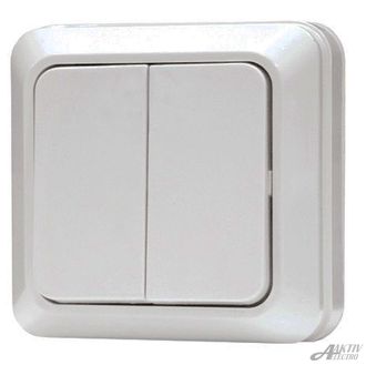 Выключатель двухклавишный 1023