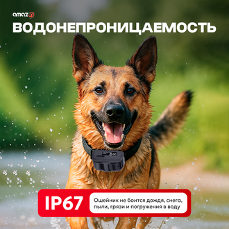 Электронный ошейник для собак PTL600