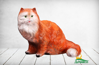 Кот персидский рыжий