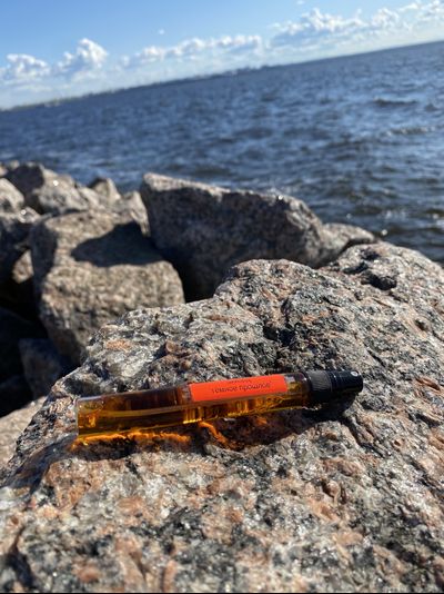 Духи АККОРД: ТЁМНОЕ ПРОШЛОЕ 10 мл