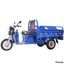 Грузовой электротрицикл TaiLG TL800