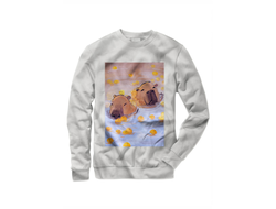 Свитшот Капибара, Kapibara-san №4