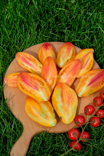 Томат Желтый Тюльпан, 5 шт