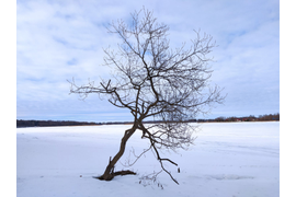 Зимние пейзажи Истринского вдхр. (фото Сергея Агафонова)