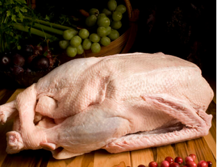 Гусиное мясо: источник белка и минералов