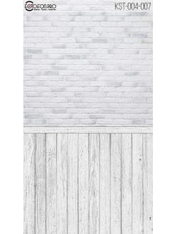 Фотофон «Песня»