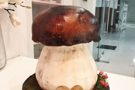 Шоу-торт "Белый гриб"