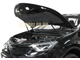 Амортизаторы капота, 2 шт. АвтоУпор для Toyota RAV4 IV / IV рестайлинг 2012-2015 / 2015-2019