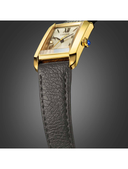 Наручные часы Citizen EW5622-09P