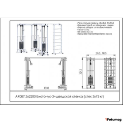 Блочный кинезиотренажер Биотонус-3+шведская стенка AR087 3х2200