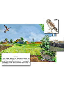 Магнитный плакат-аппликация "Поле: биоразнообразие и взаимосвязи в сообществе"