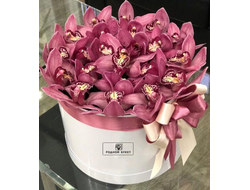 Орхидея в шляпной коробке №15