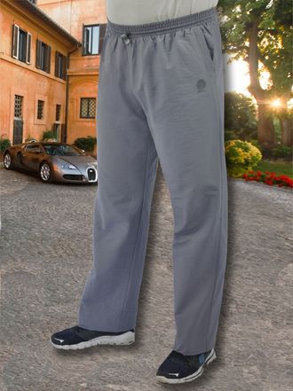 Мужские спортивные брюки (912-10)