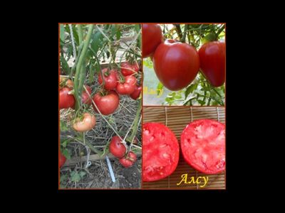 Томат Разбитое сердечко
