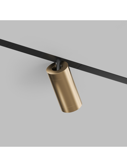 Трековый светильник Denkirs DK8020-BG