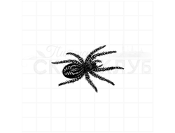 Штамп для скрапбукинга паук с мохнатыми лапами