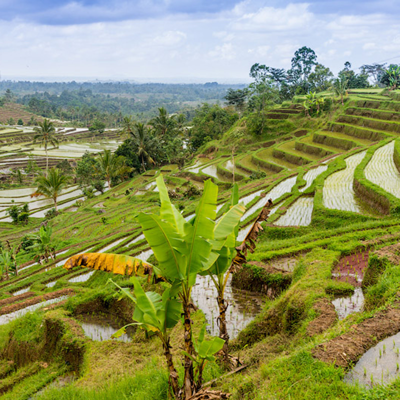 Тур к вулкану без подъема 1