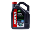 Motul Snowpower 2T 4л