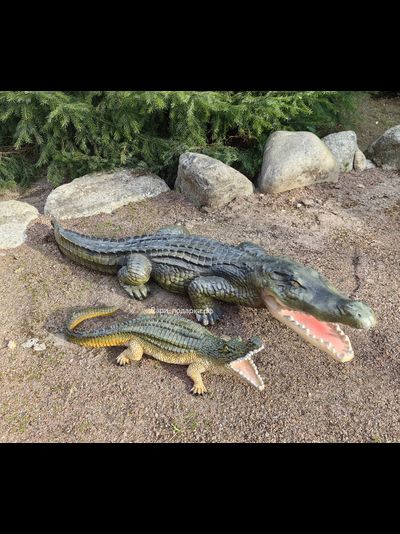 Крокодил 15*40см   1,2кг   полистоун Россия 1844/012457*