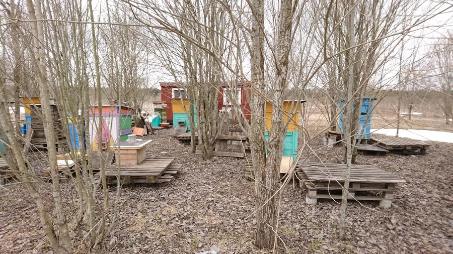 Начинаем обход по часовой стрелке