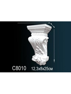 Консоль C8010