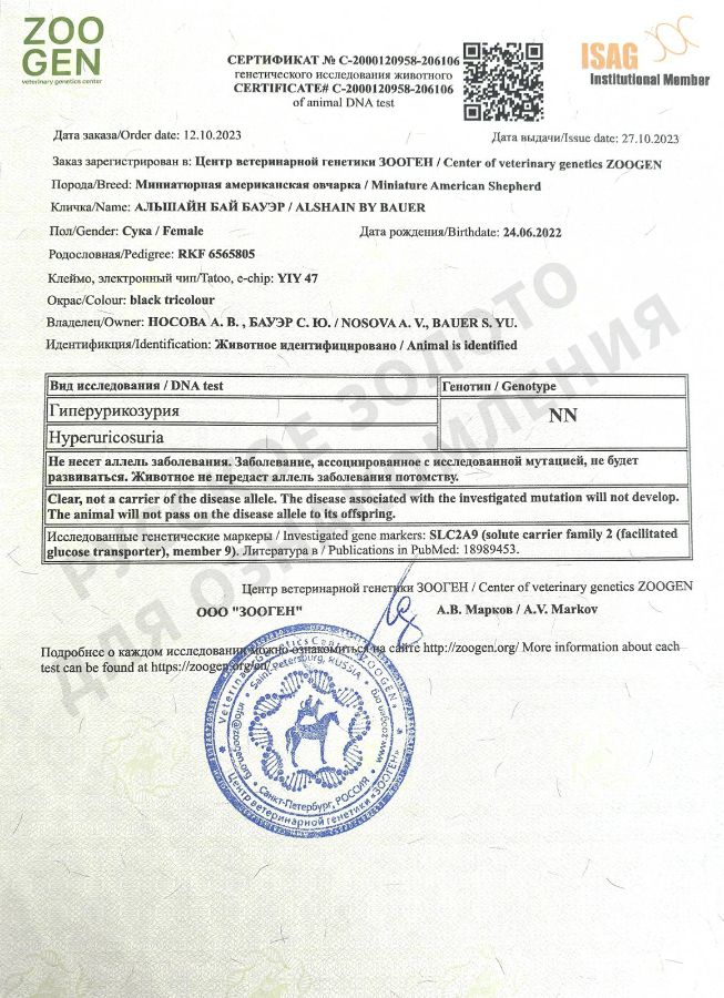 Аля. Результаты анализов на генетические заболевания.