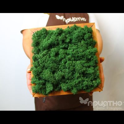 ЖИВАЯ ЭКО-КАРТИНА 1064