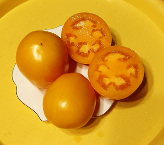 Семена томата Персик из Риги