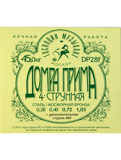 Господин музыкант DP28F