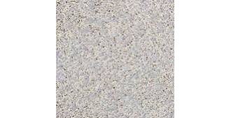 Жидкие обои Silk Plaster Prestige (Престиж) 406