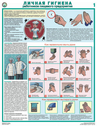 «Личная гигиена работников пищевого предприятия. Комплект из 2 листов.
