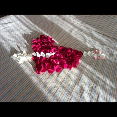 Оформление номера лепестками роз № 1492