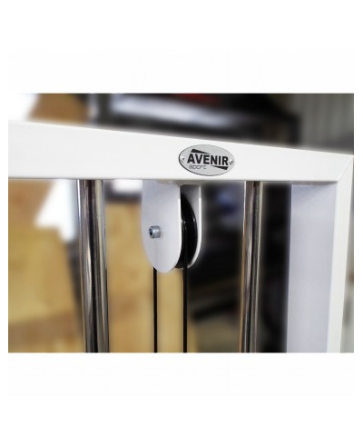 Бицепс-трицепс машина 2 в 1 60 кг AV248/80