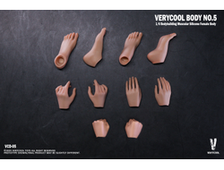 ПРЕДЗАКАЗ - Мускулистое бесшовное женское тело - Коллекционная фигурка 1/6 Silicone Female Body Bodybuilding Muscular Physique Natural Skin Tone (VCD-05B) - VERYCOOL  ?ЦЕНА: 9900 РУБ.?