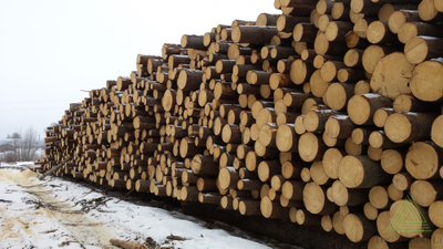 Пиловочник отборный зимний для дома