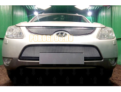 Защита радиатора Hyundai IX55 2009-2013 chrome середина